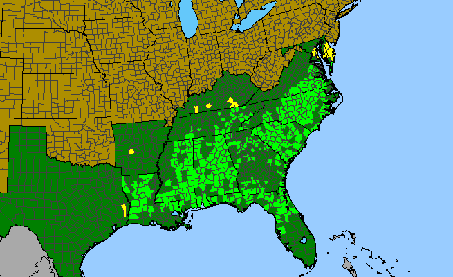 The range of Rhynchosia tomentosa